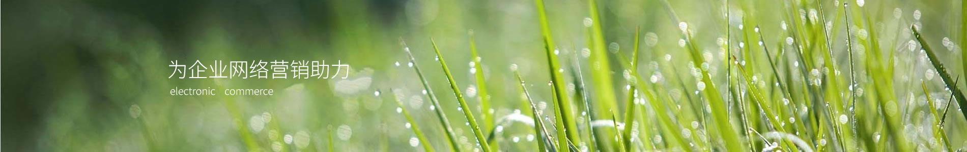 ҹƼ޹˾